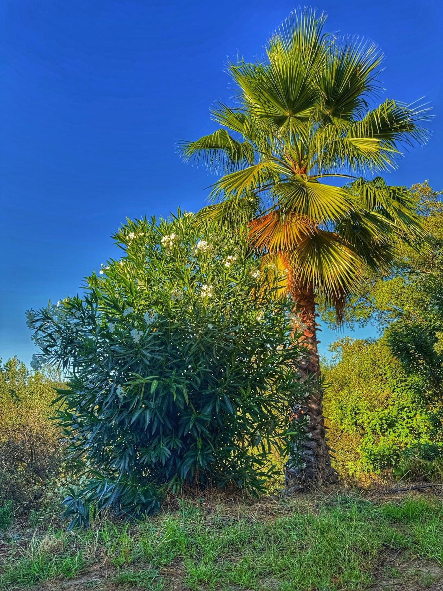 Finca Charco La Olla Хабуго Екстер'єр фото
