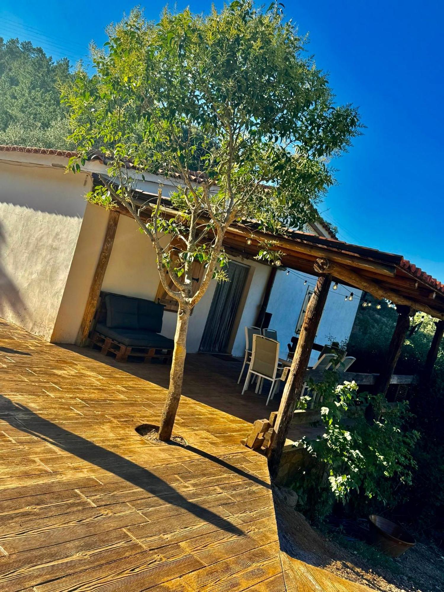 Finca Charco La Olla Хабуго Екстер'єр фото